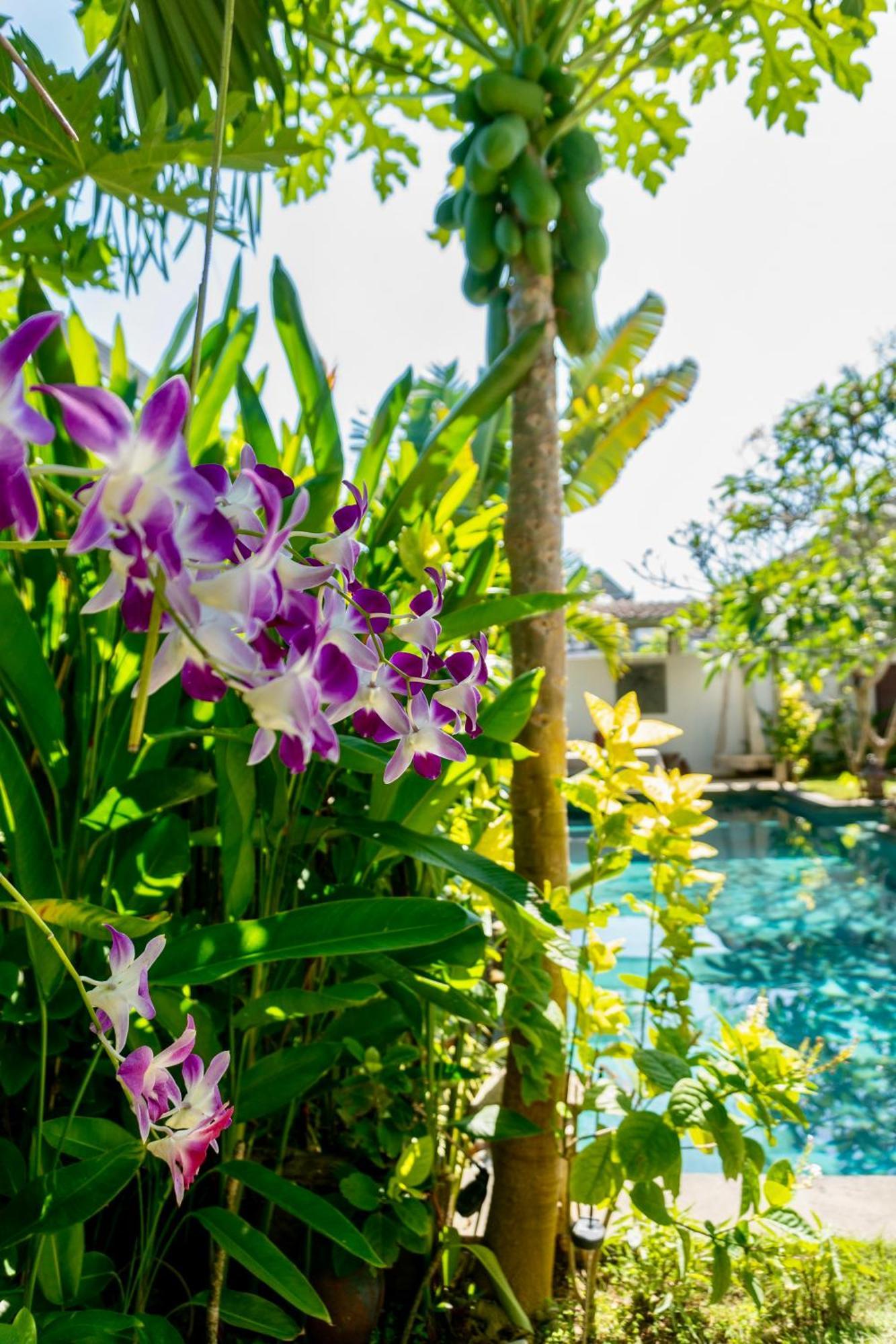 Damai Uluwatu Hotell Exteriör bild